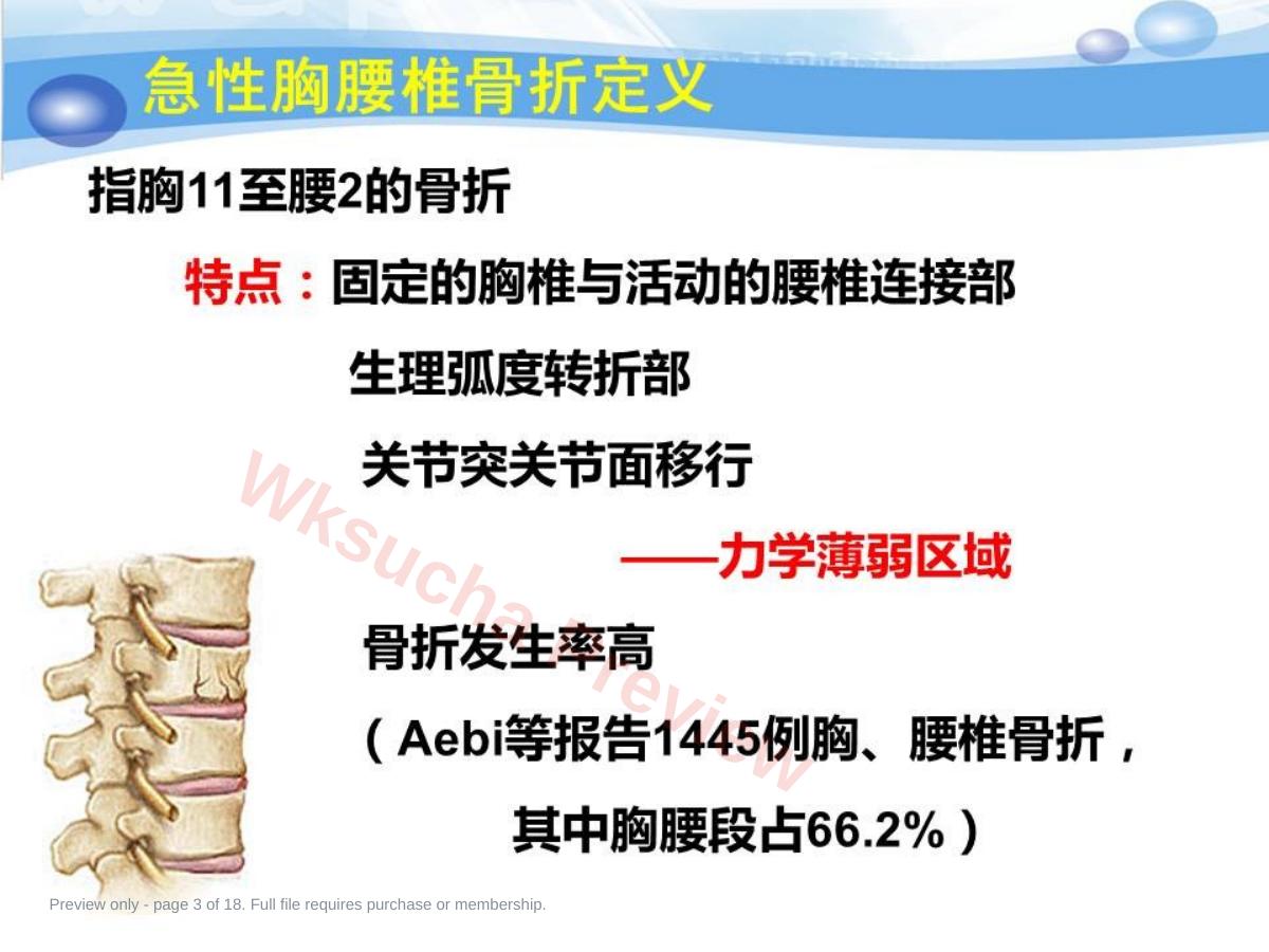 预览第 3 页
