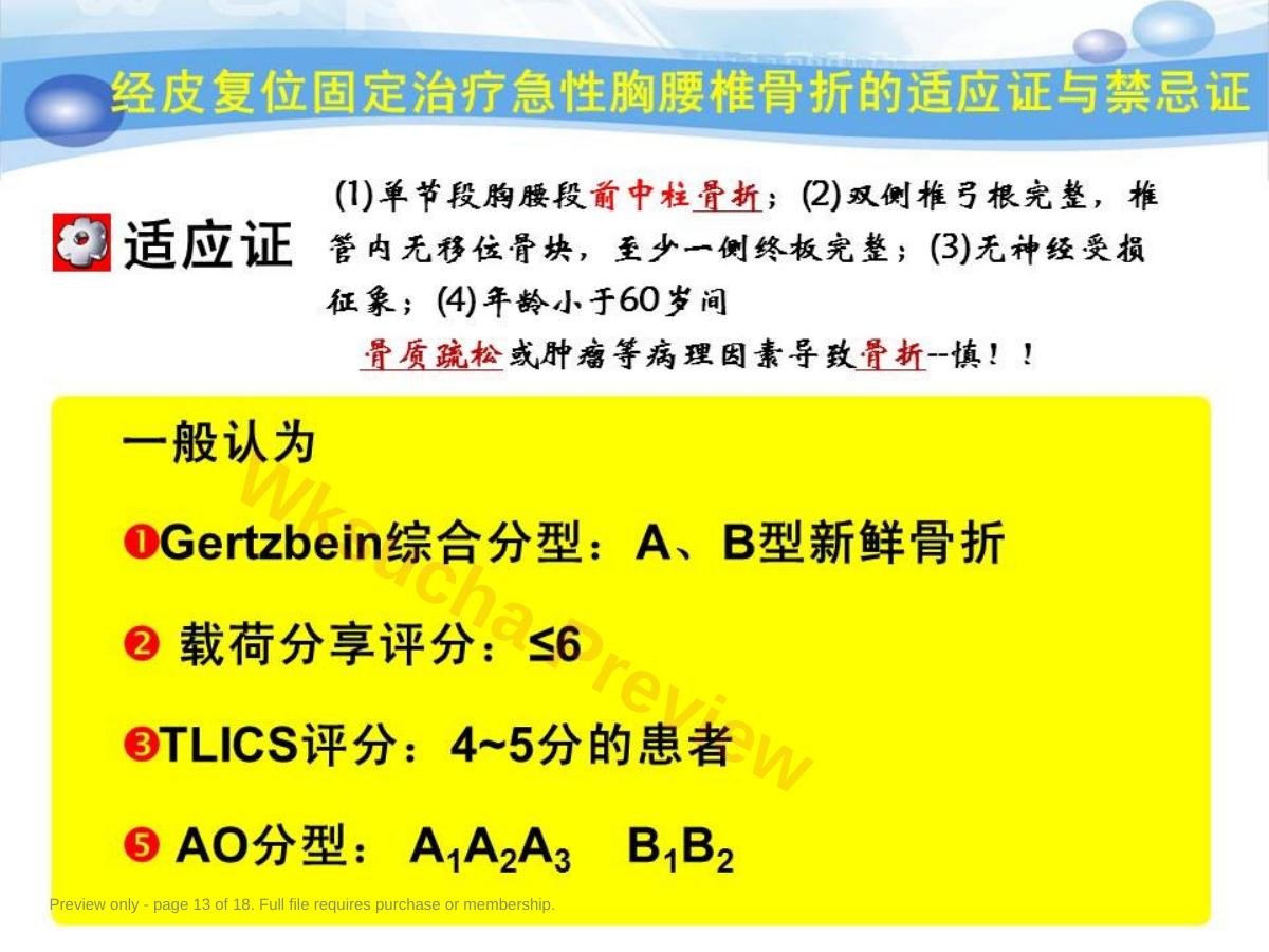 预览第 13 页