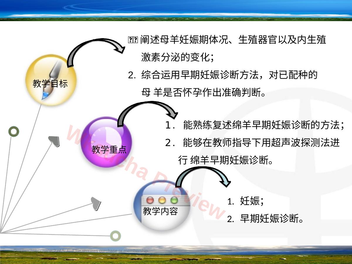 预览第 2 页
