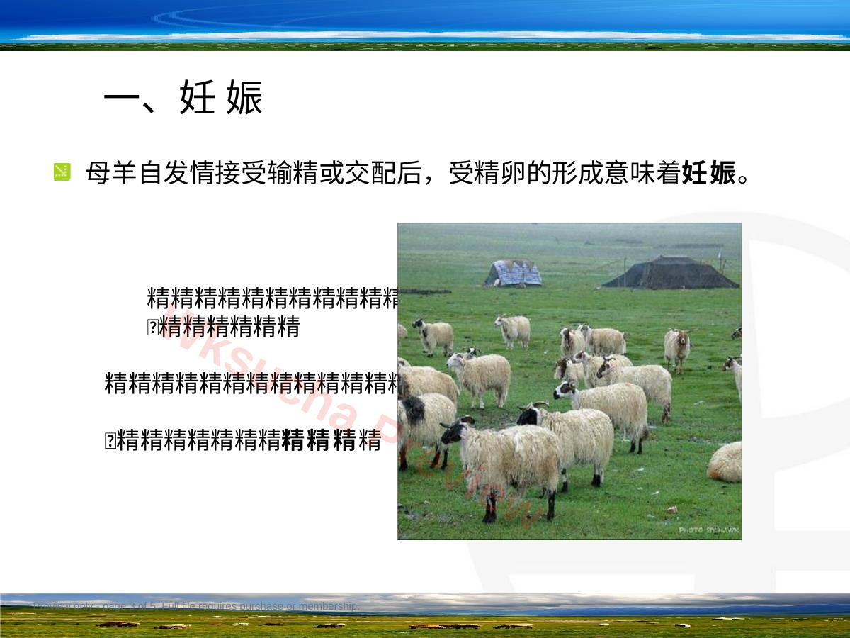 预览第 3 页