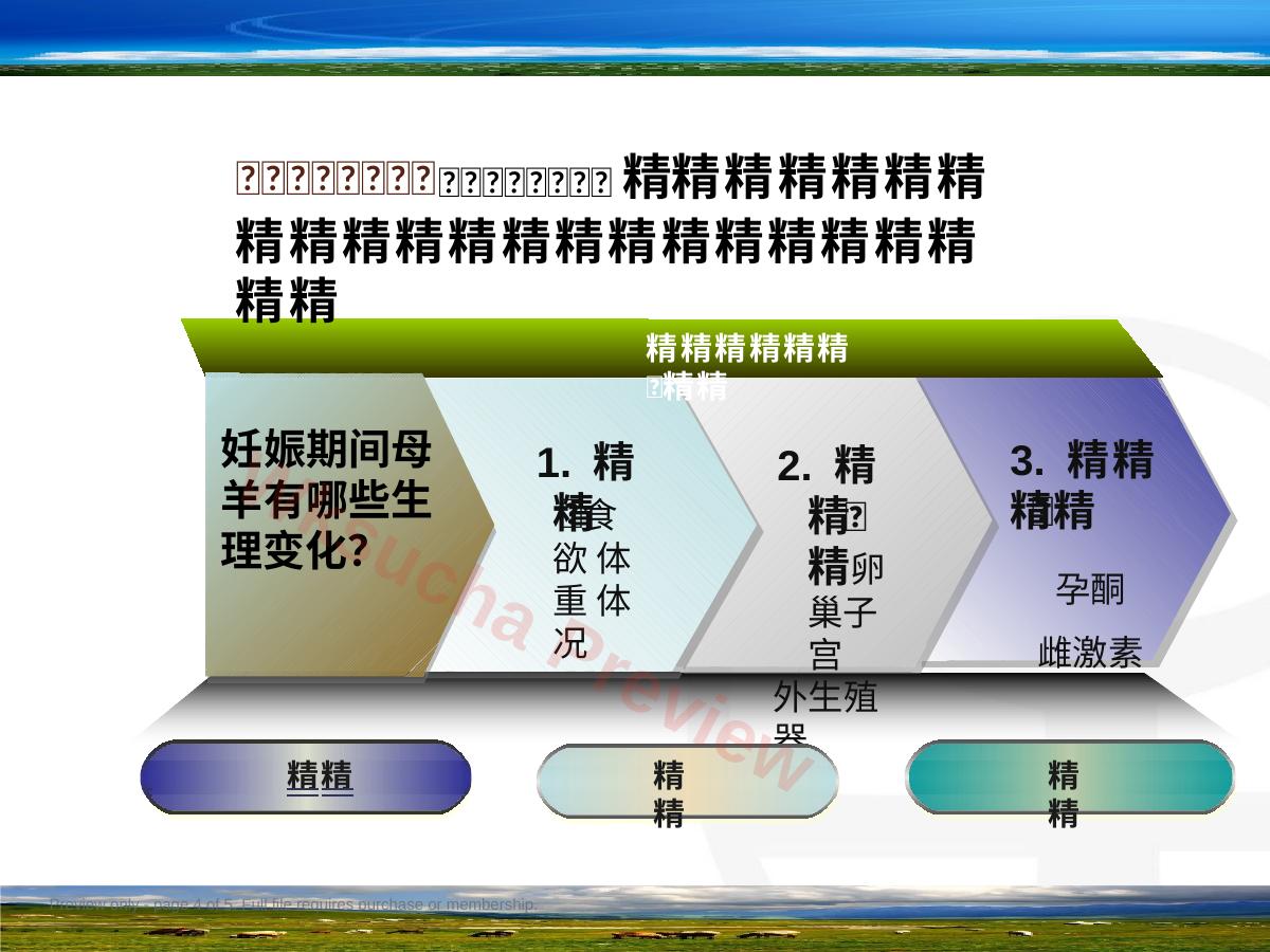 预览第 4 页