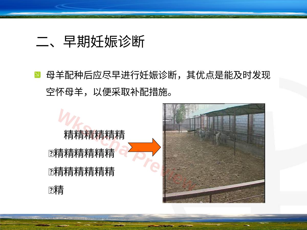 预览第 5 页