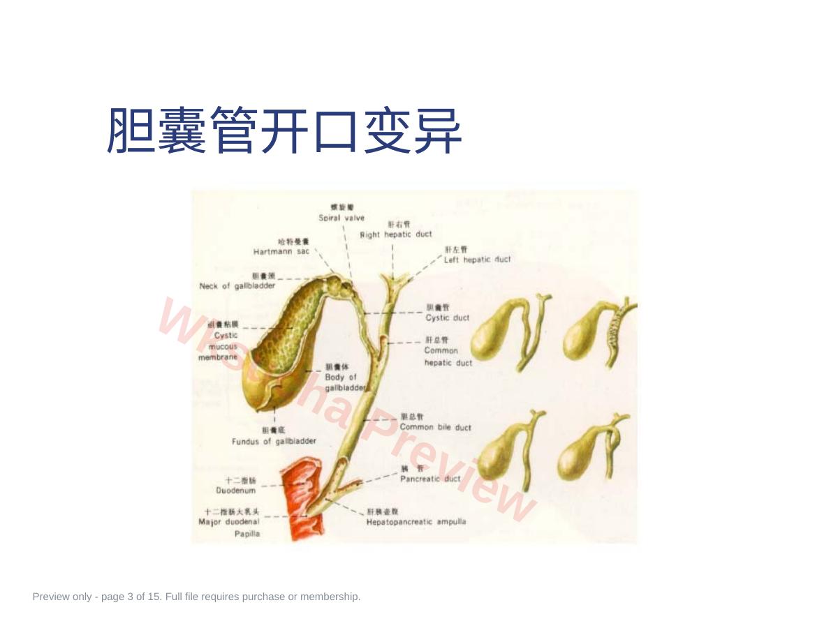预览第 3 页