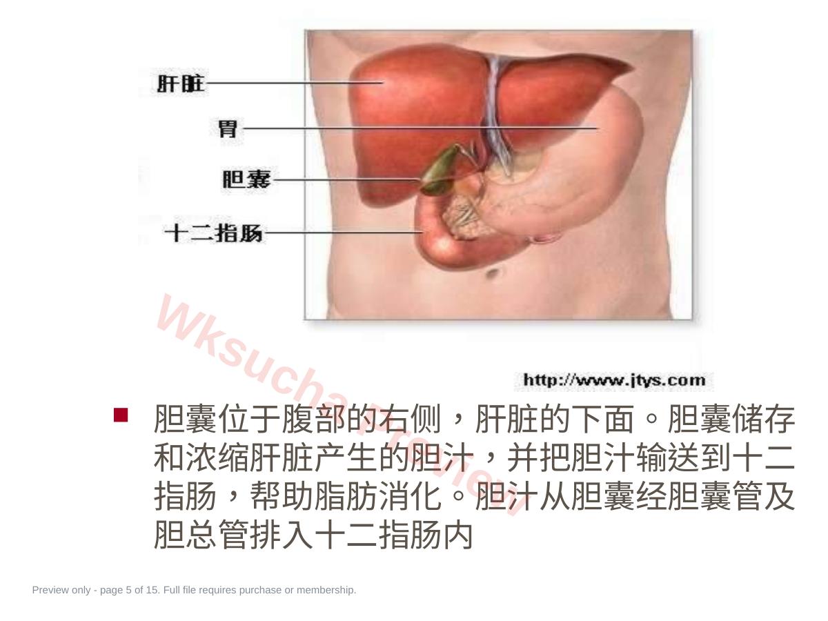 预览第 5 页