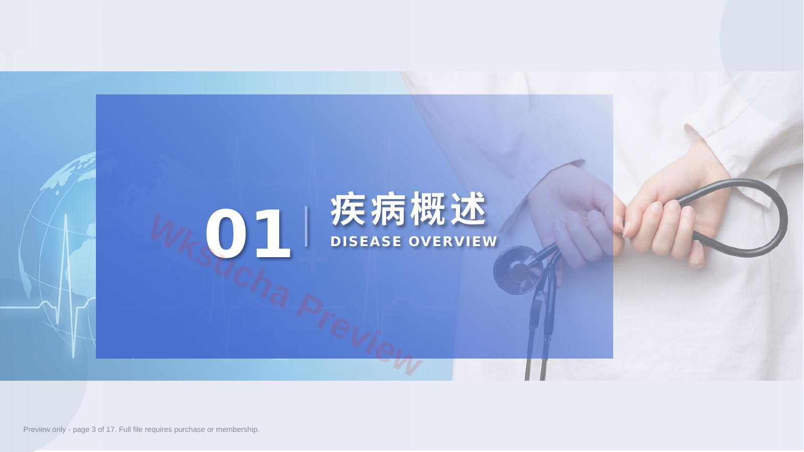 预览第 3 页
