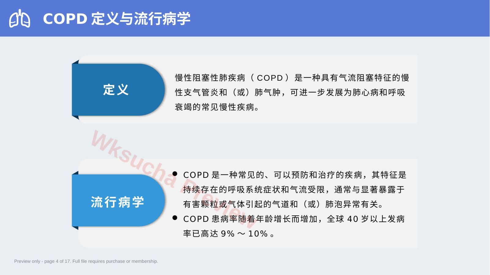 预览第 4 页