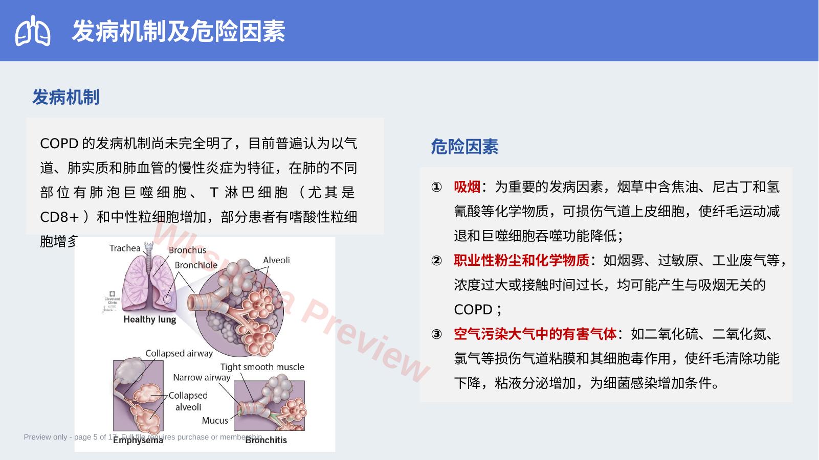 预览第 5 页