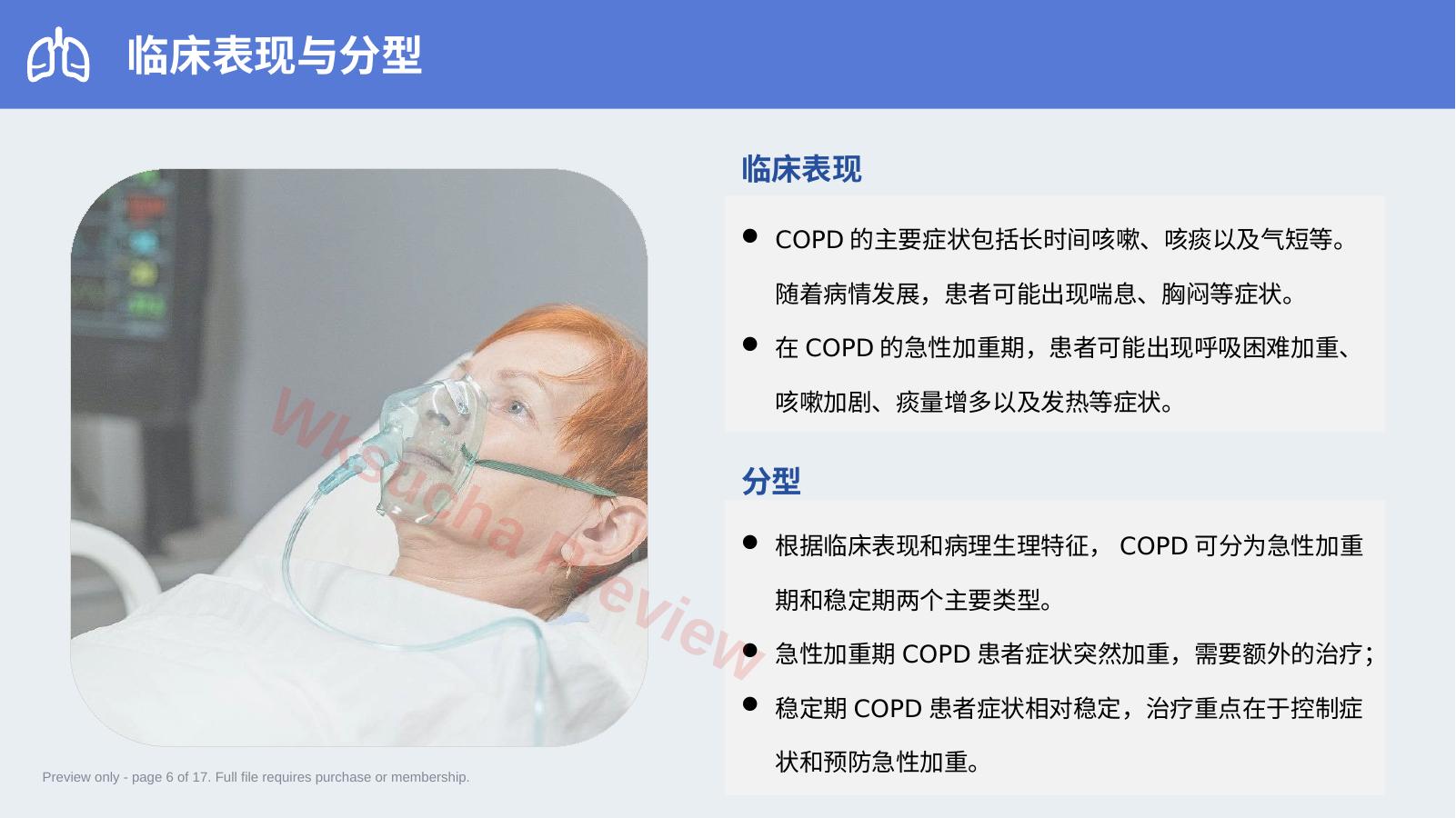 预览第 6 页