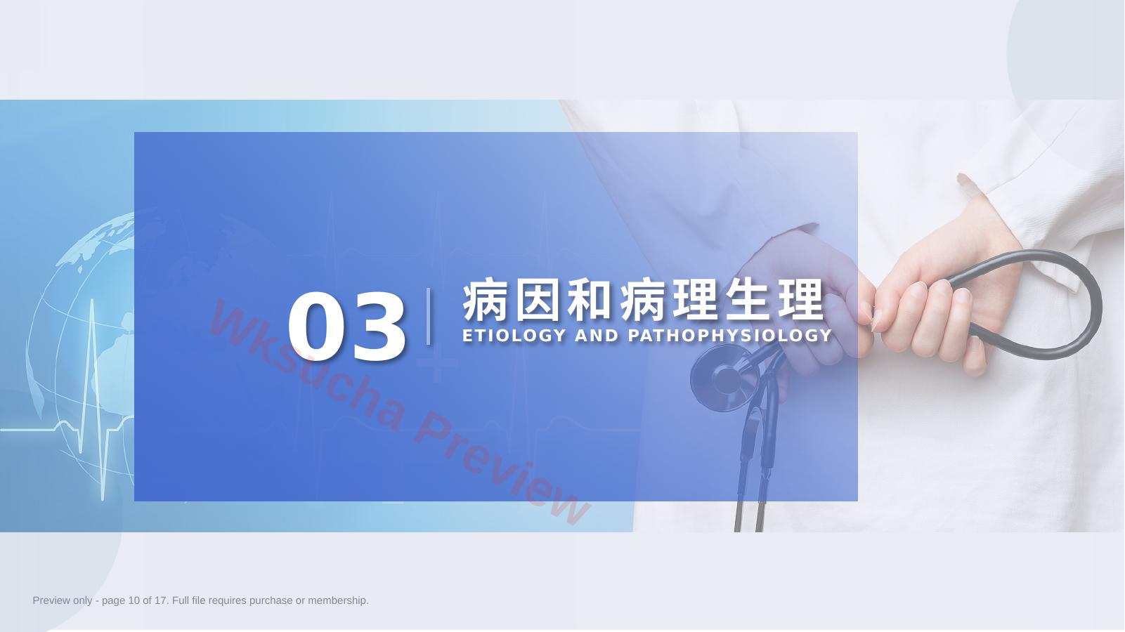 预览第 10 页