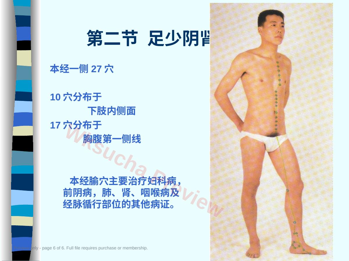 预览第 6 页