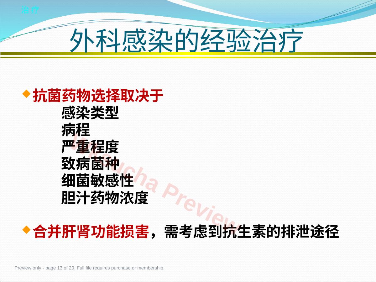 预览第 13 页