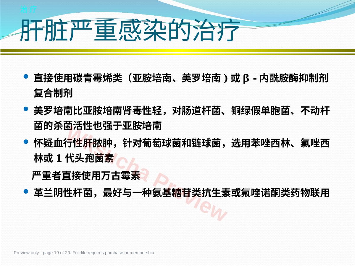 预览第 19 页