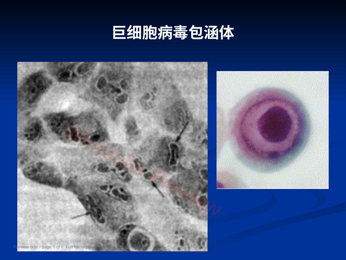 预览第 8 页