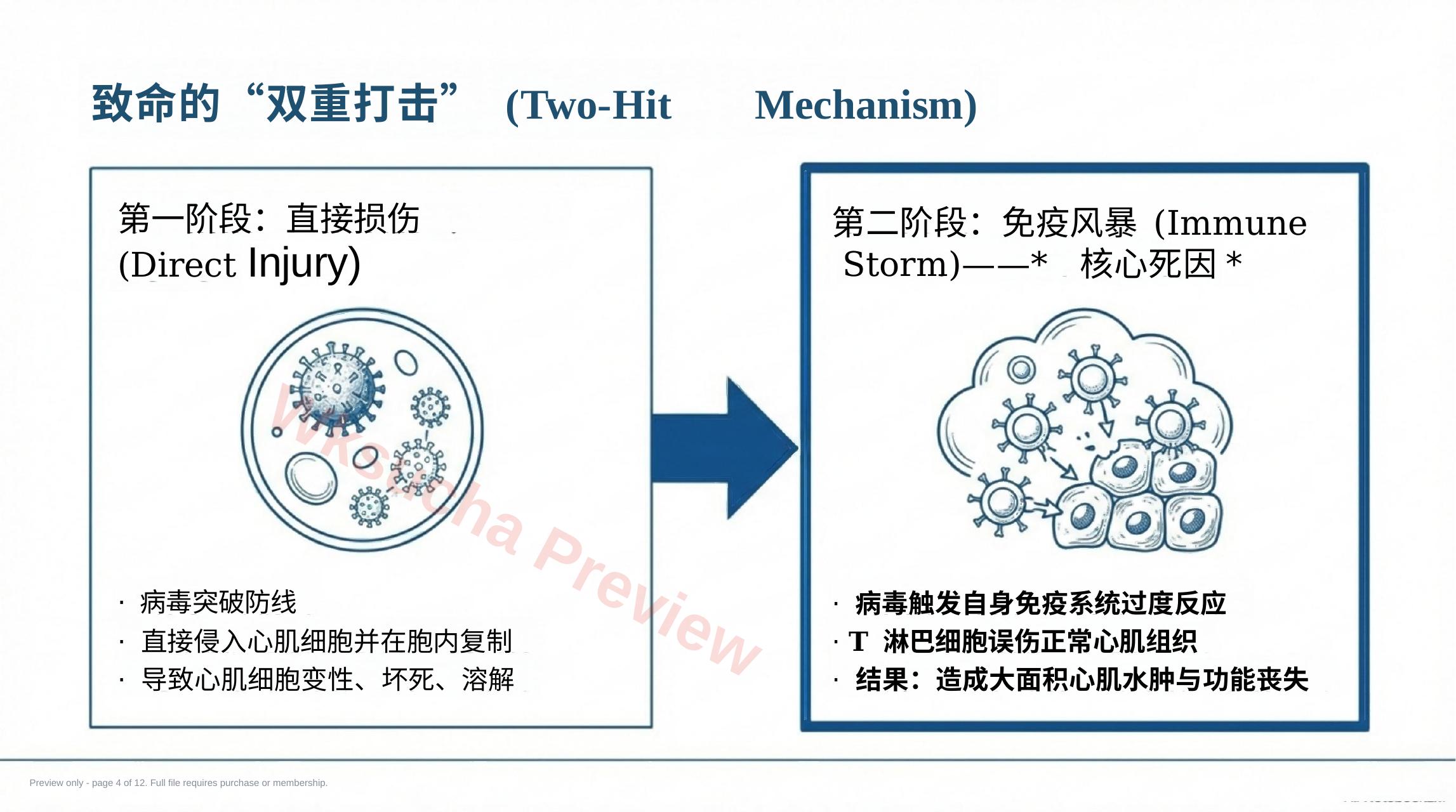 预览第 4 页