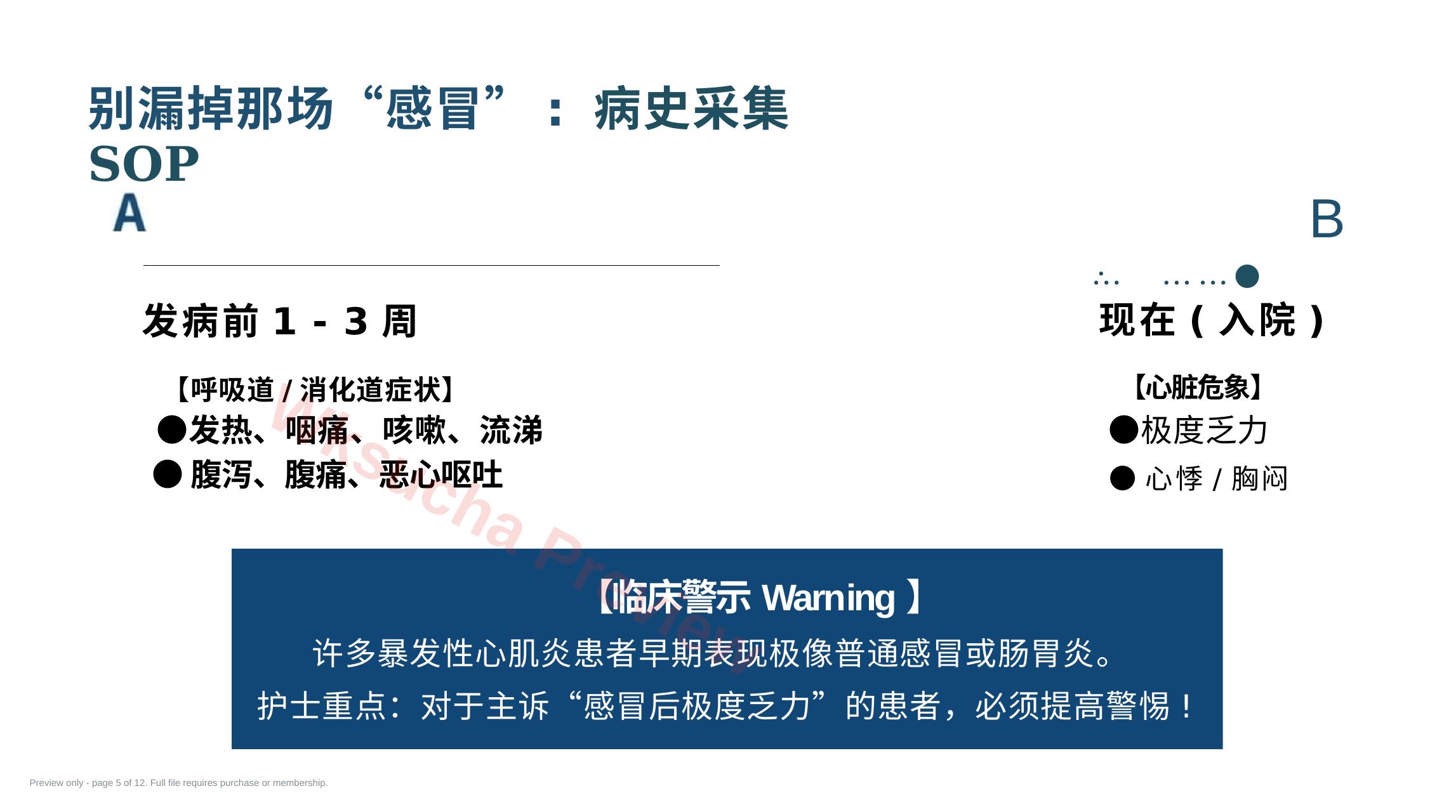 预览第 5 页