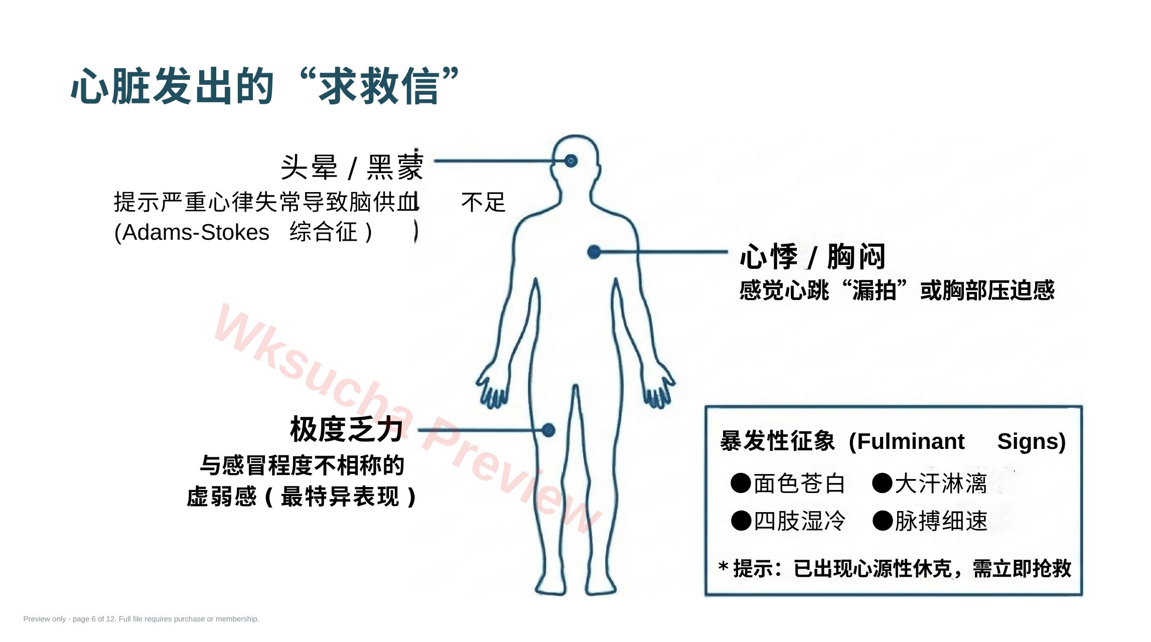 预览第 6 页