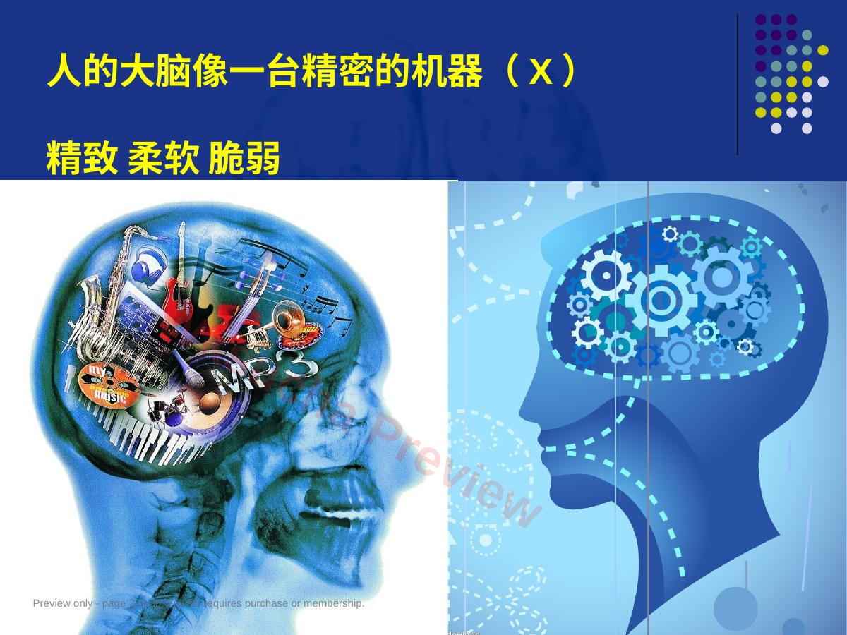预览第 2 页