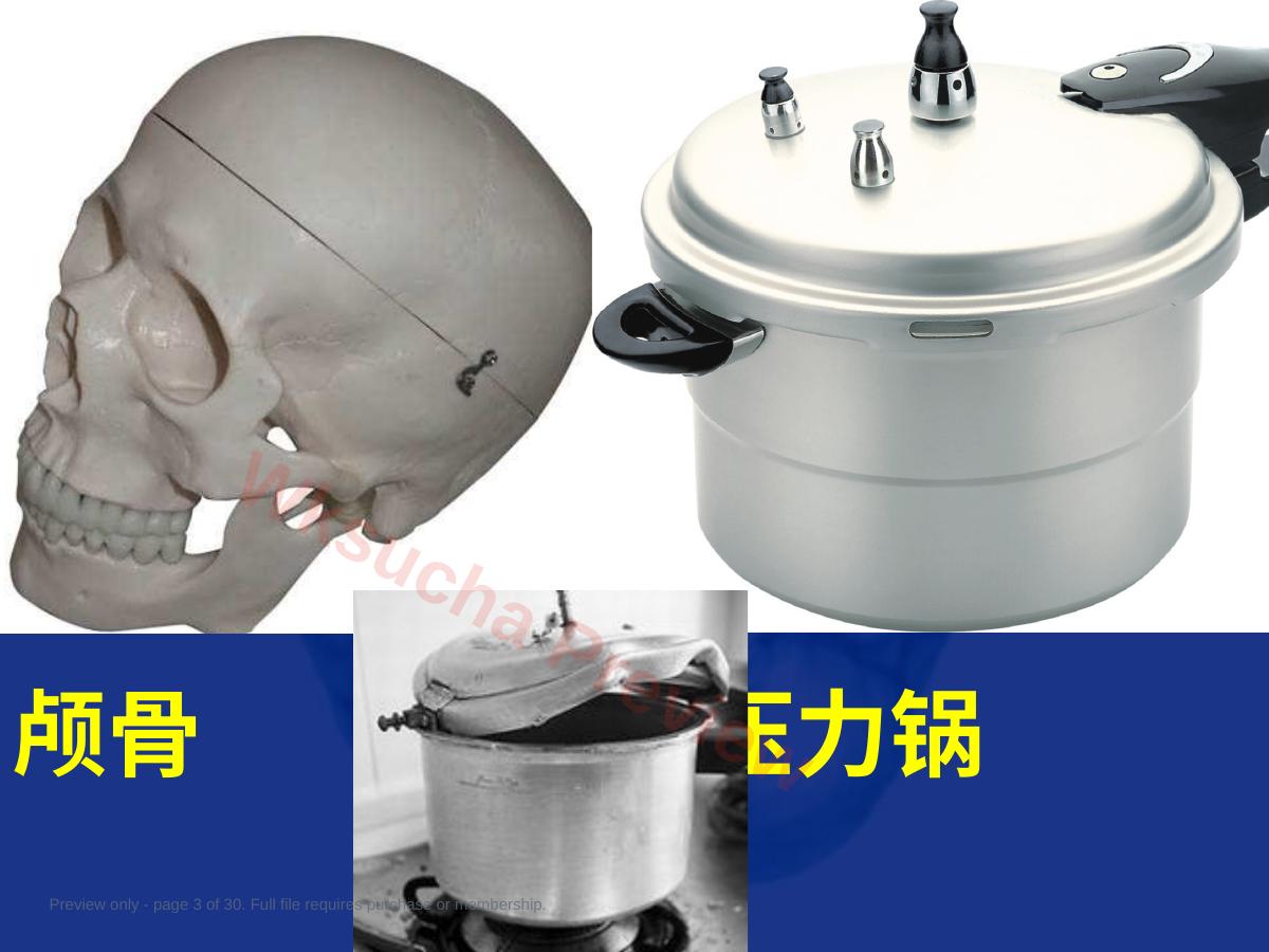 预览第 3 页