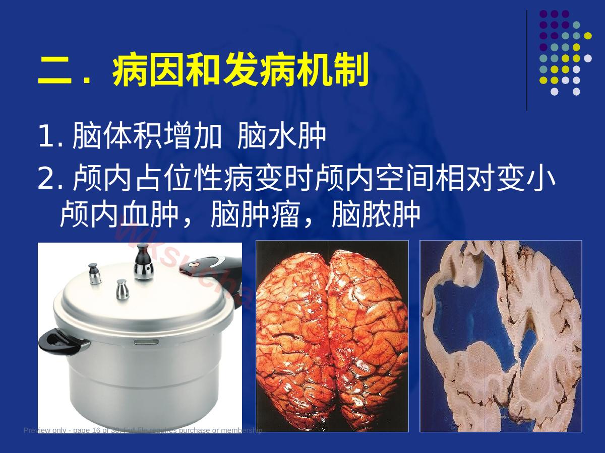 预览第 16 页