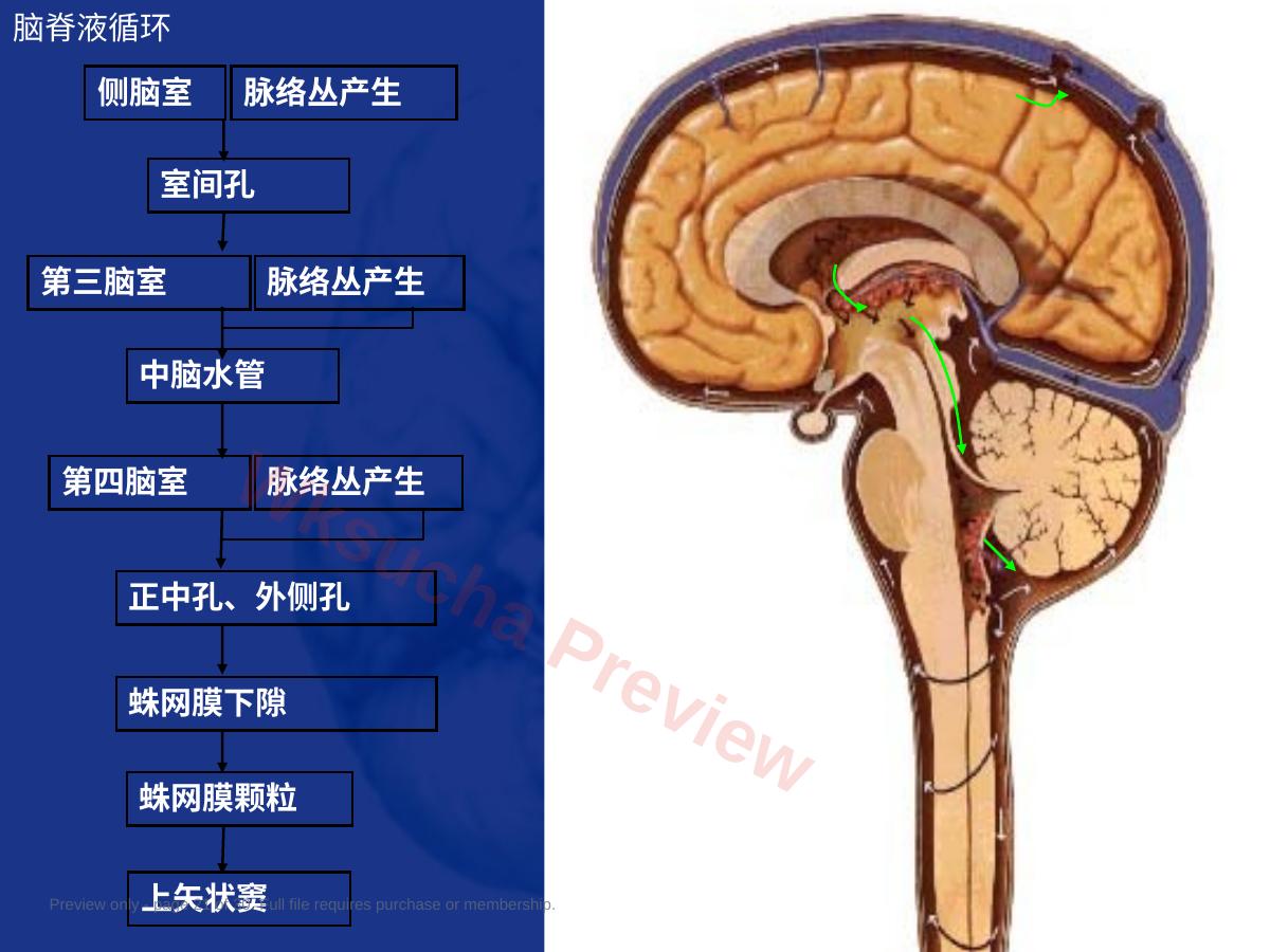 预览第 21 页