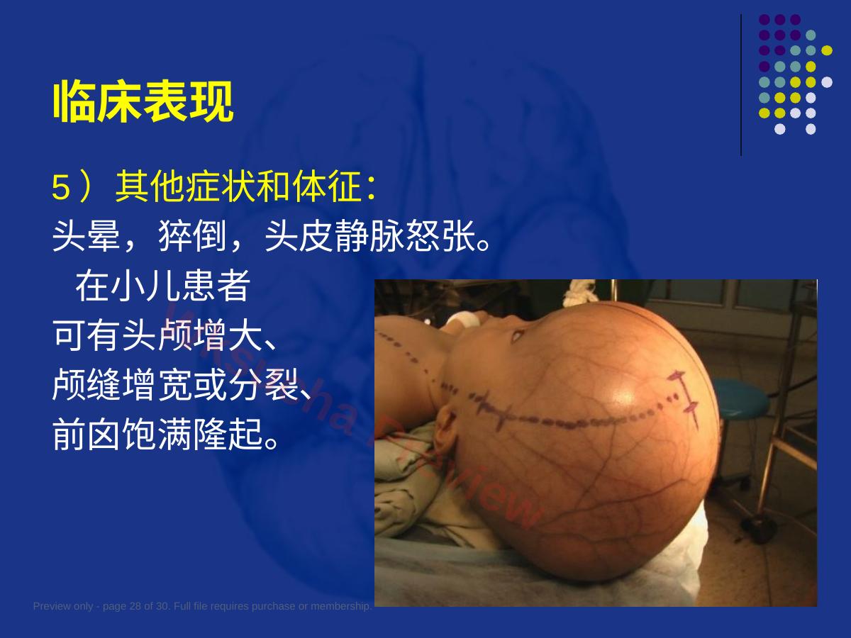 预览第 28 页