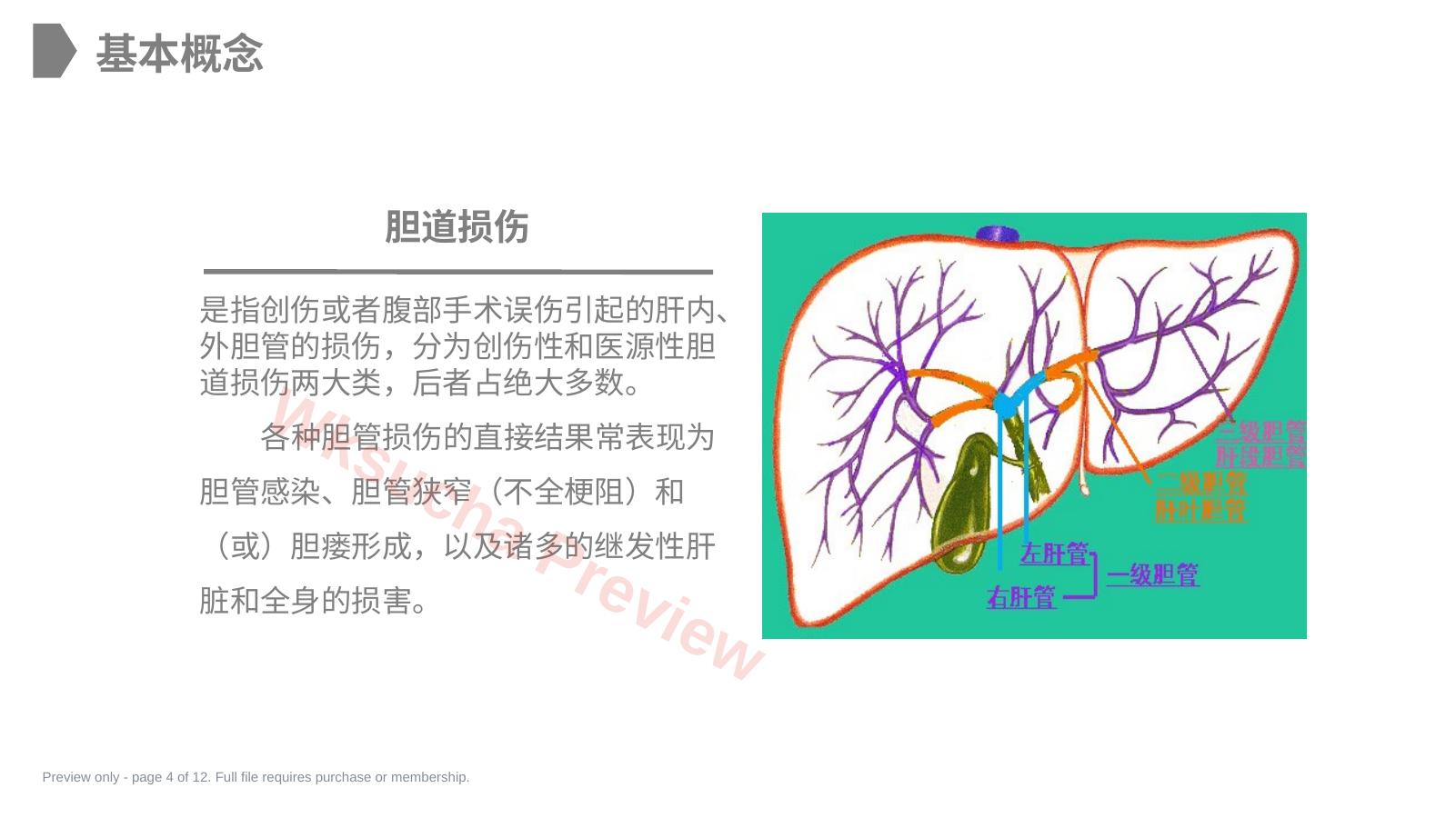 预览第 4 页