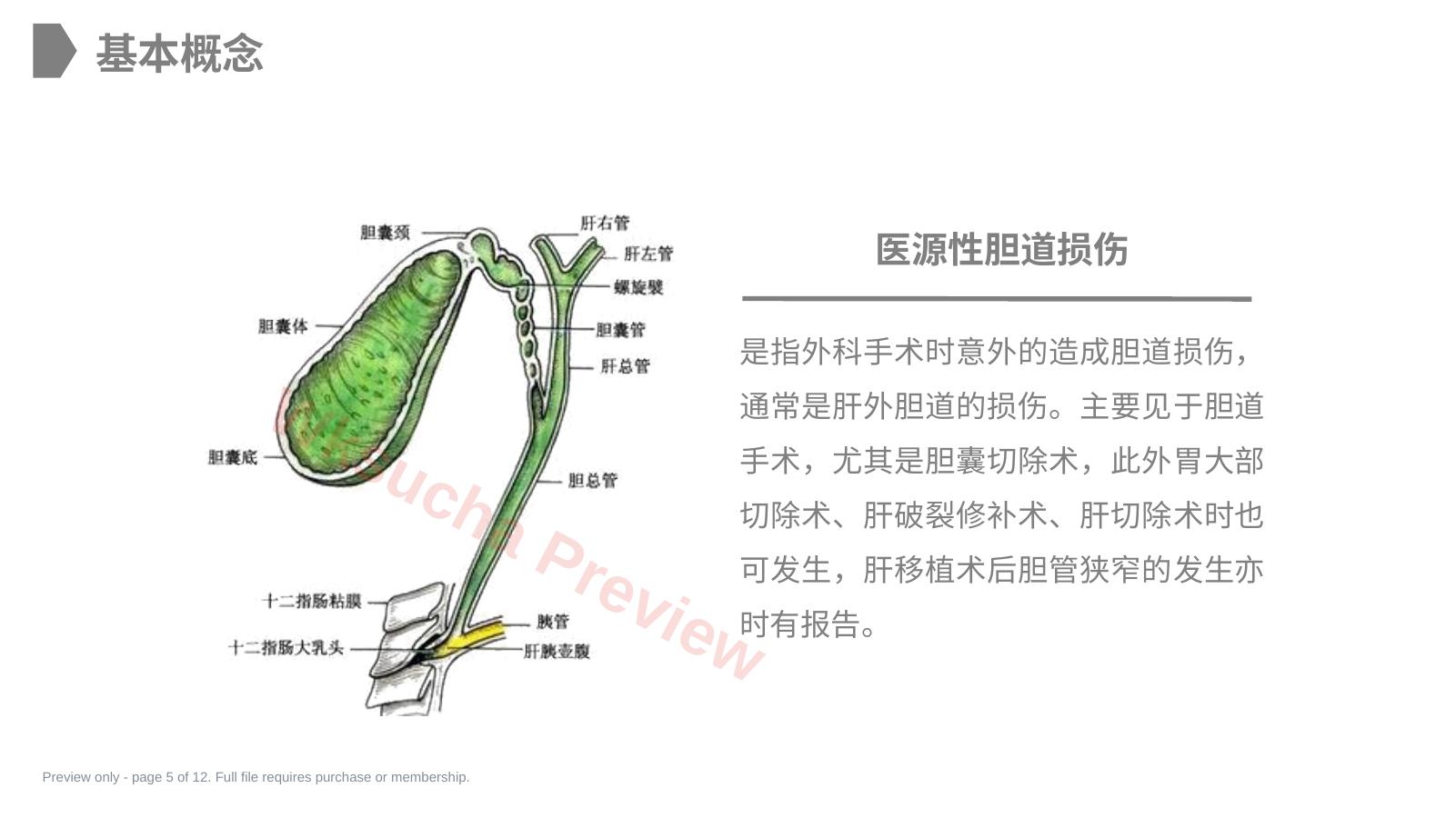 预览第 5 页