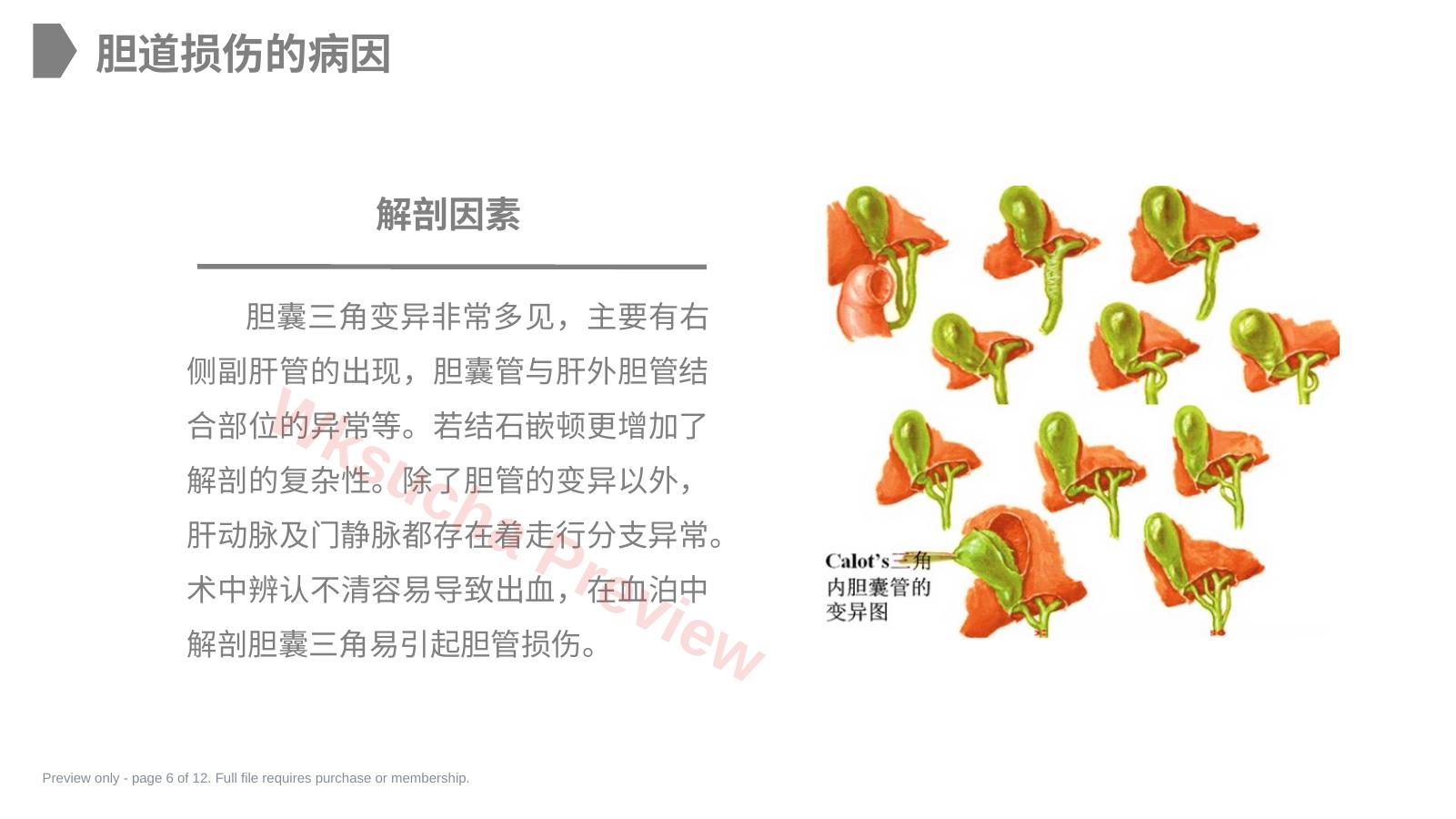 预览第 6 页