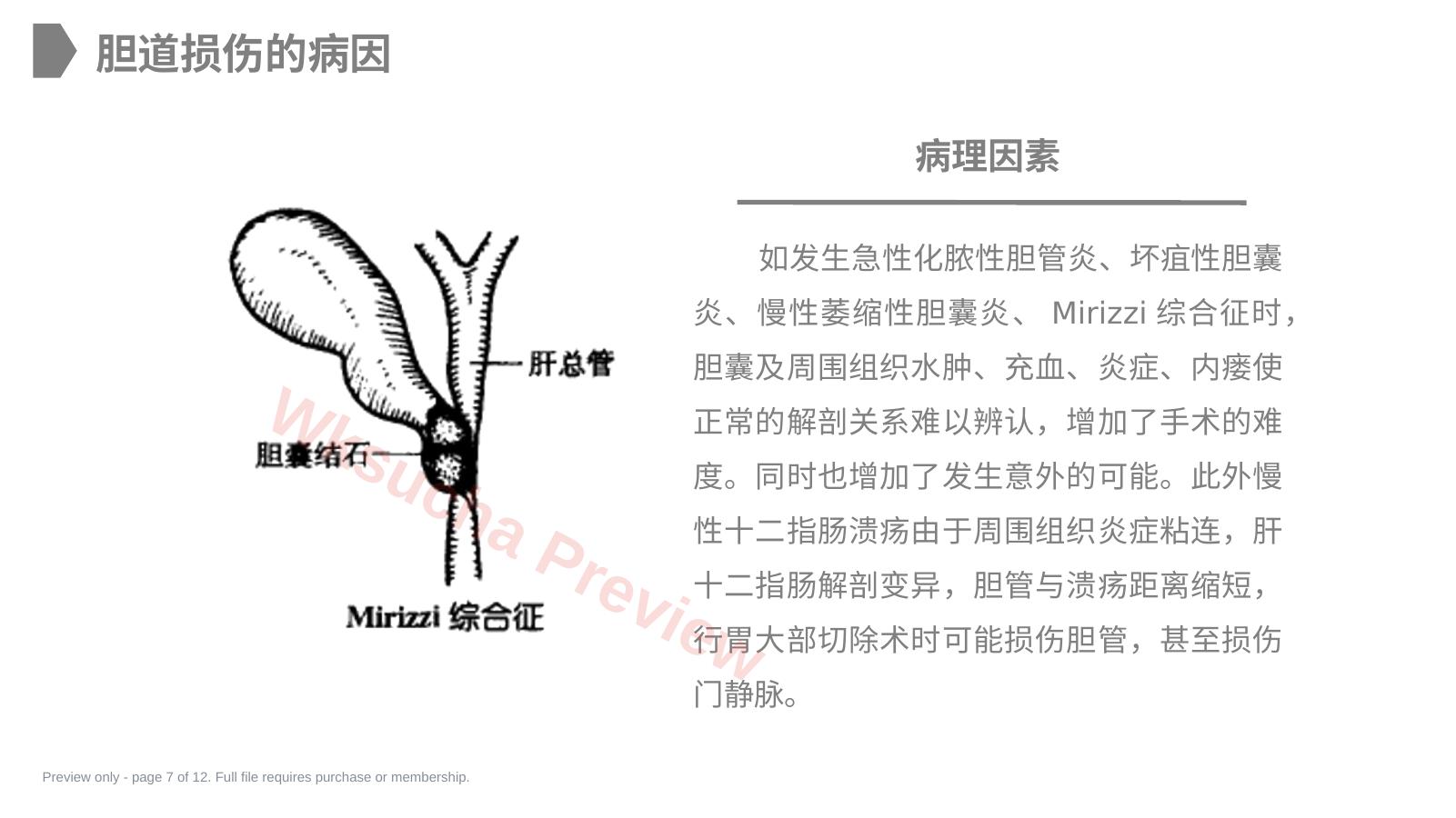 预览第 7 页