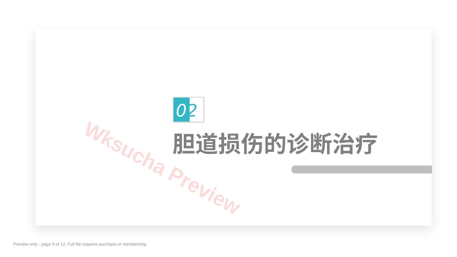 预览第 9 页