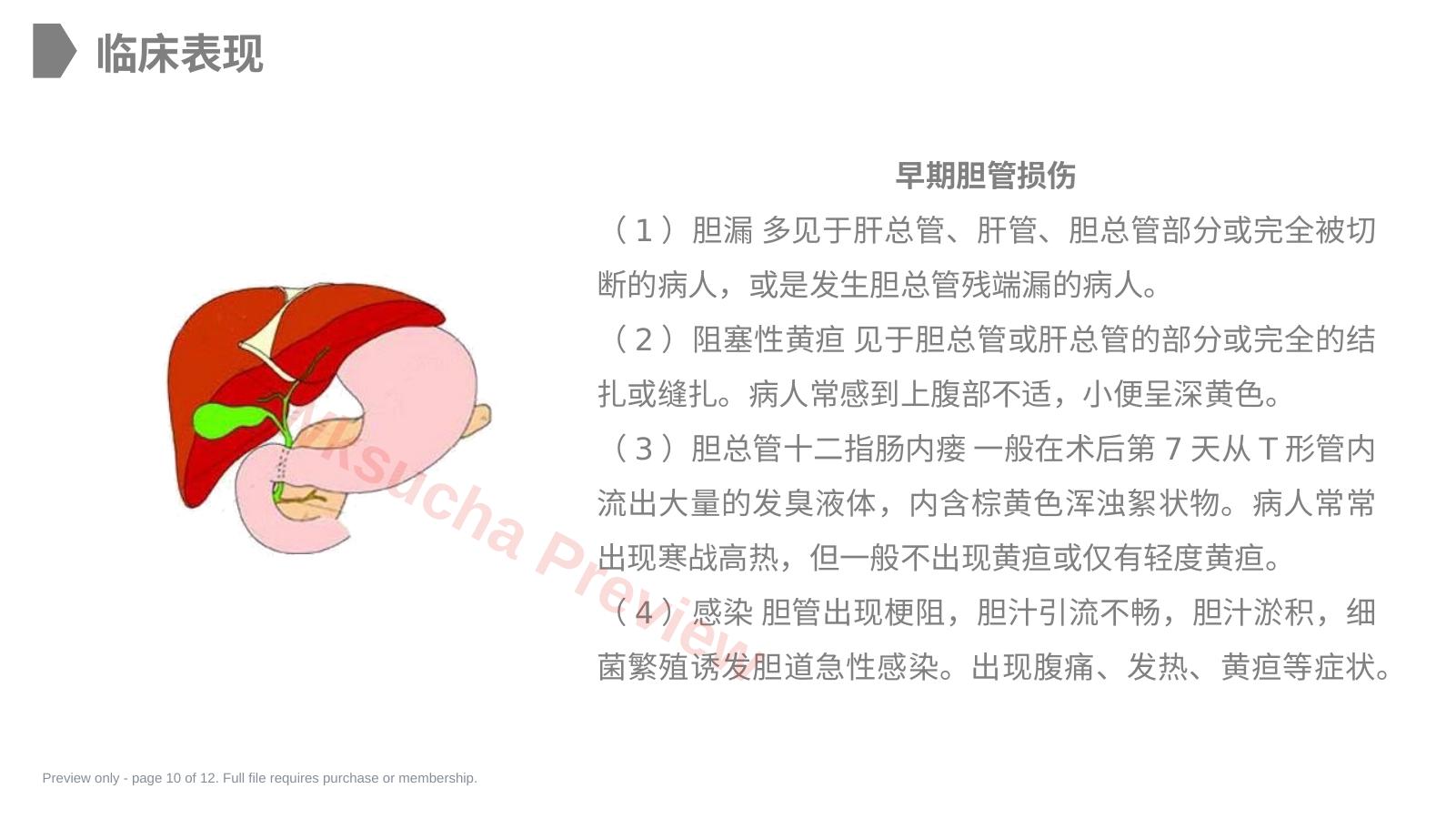 预览第 10 页