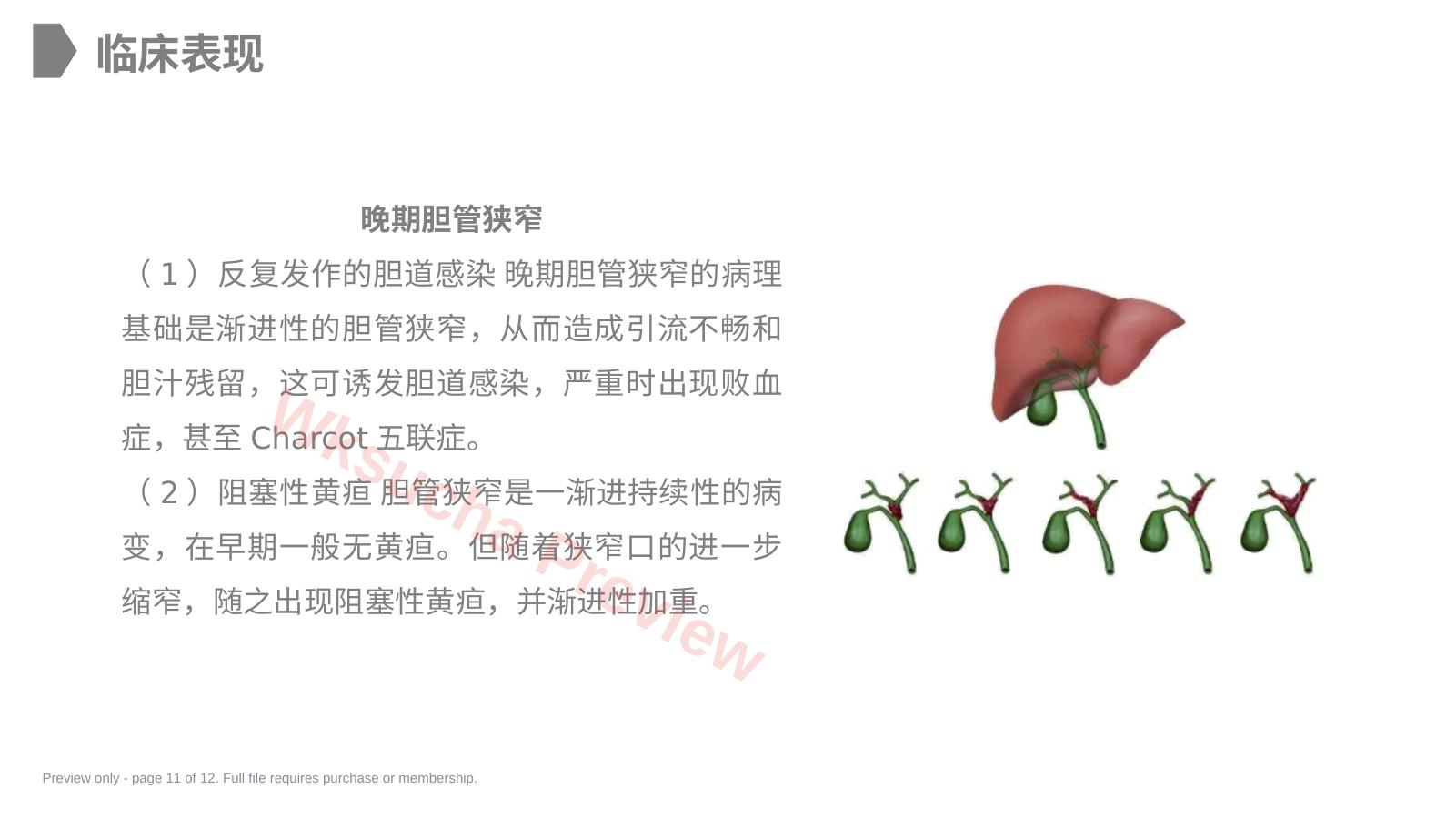 预览第 11 页