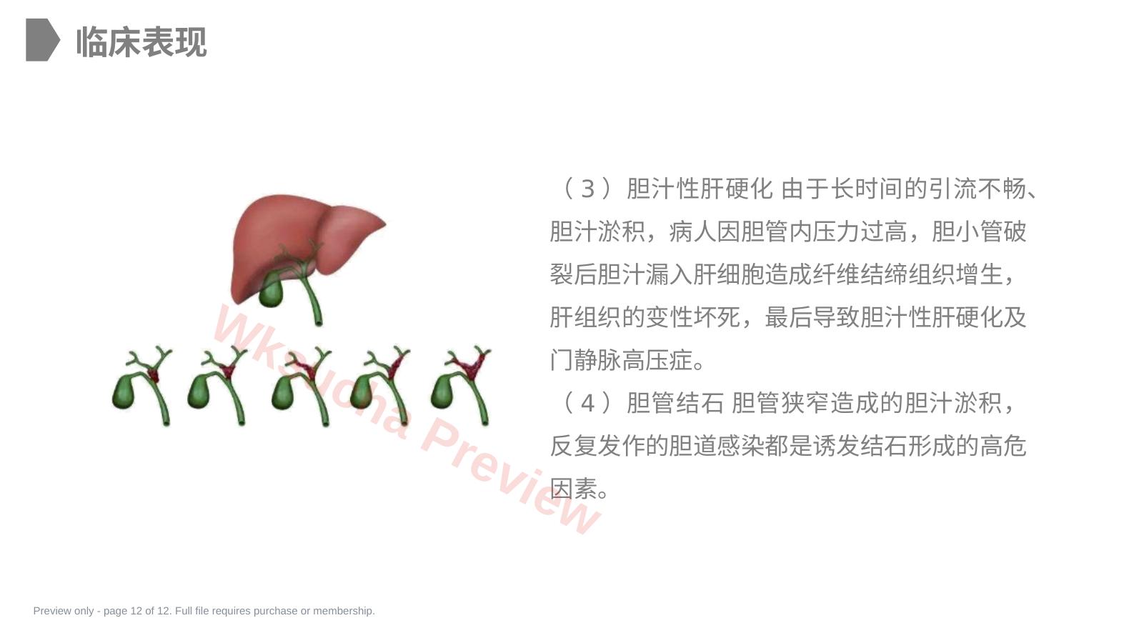预览第 12 页