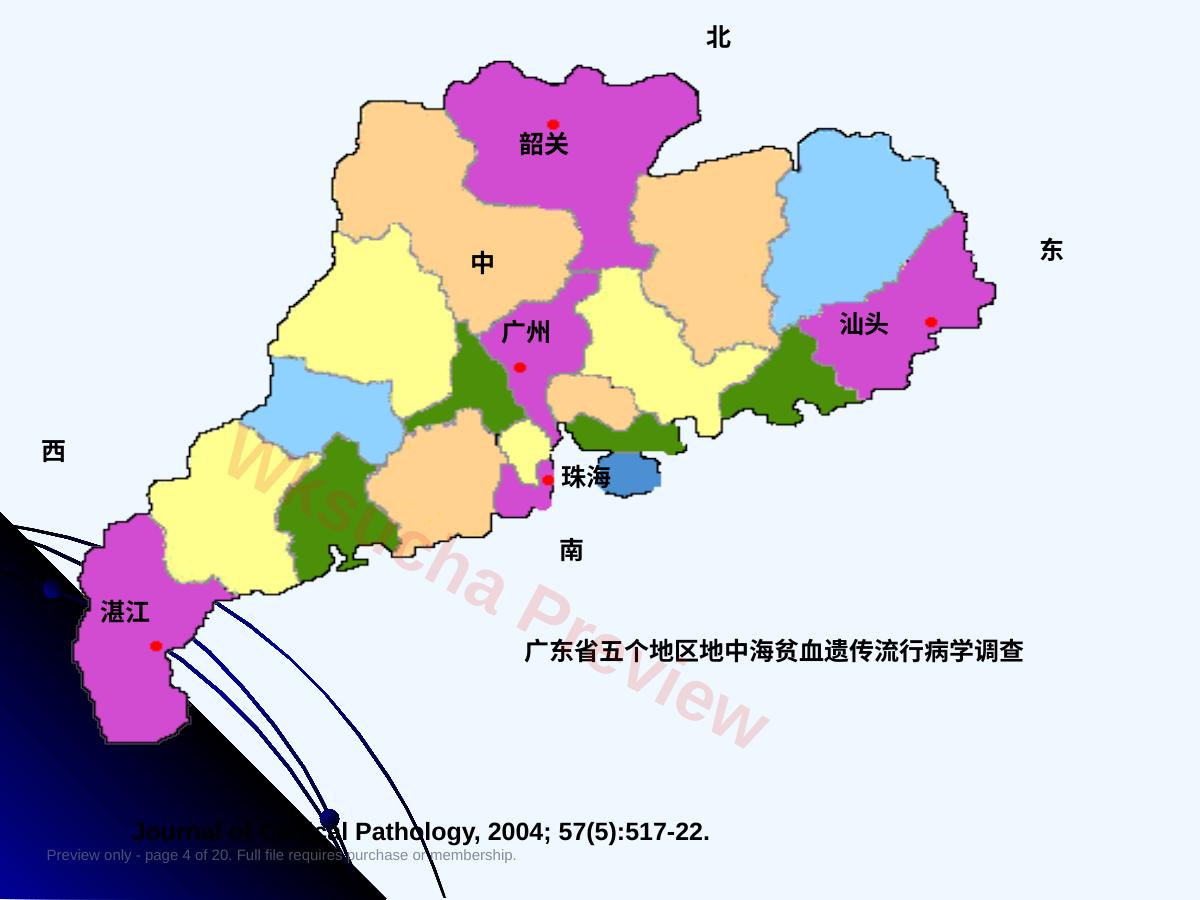 预览第 4 页