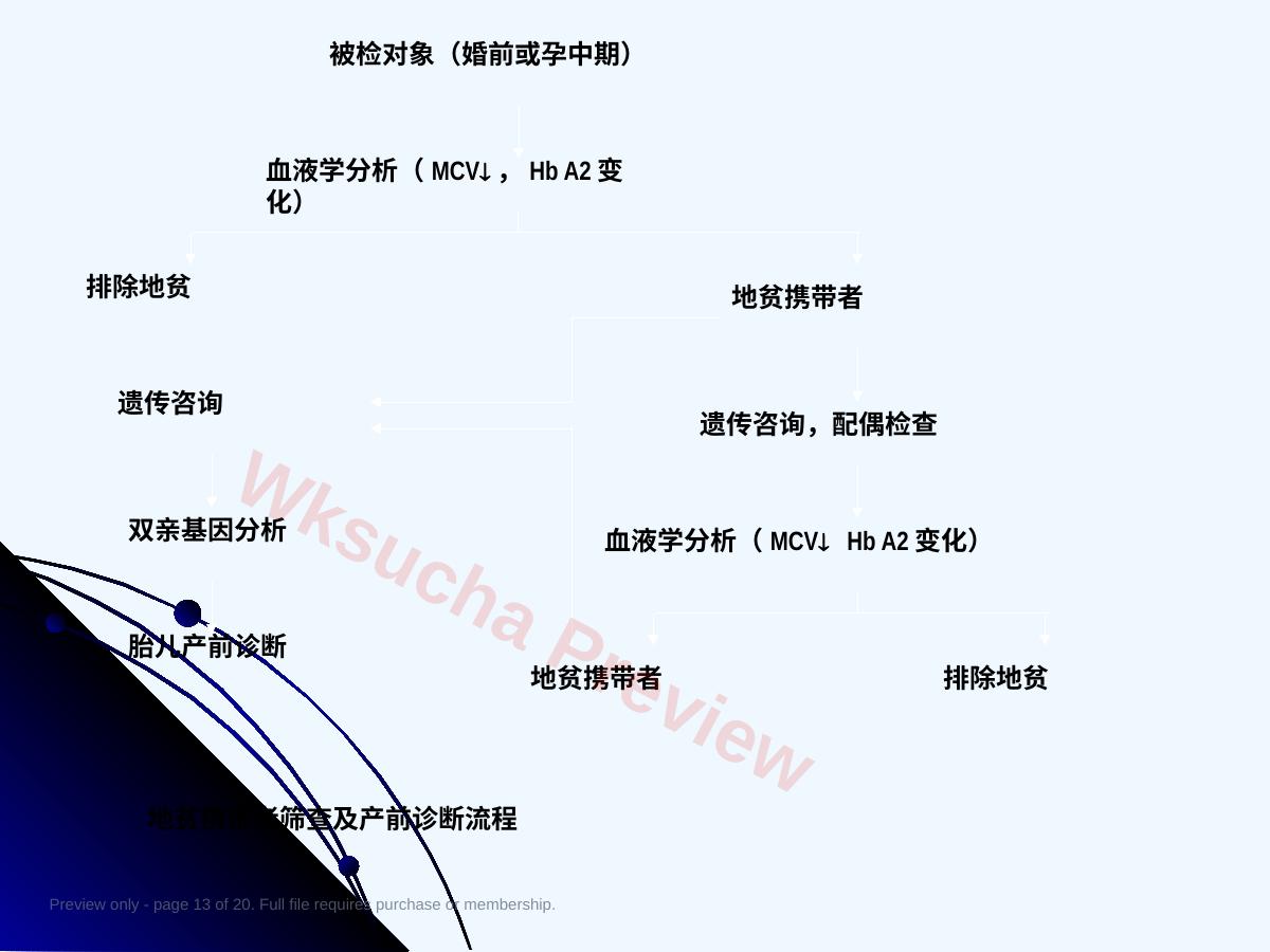 预览第 13 页