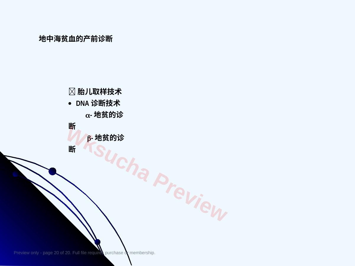 预览第 20 页