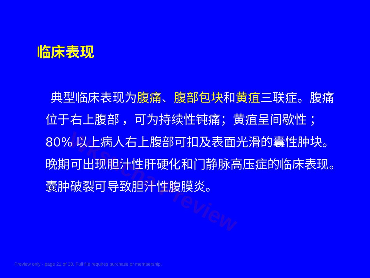 预览第 21 页
