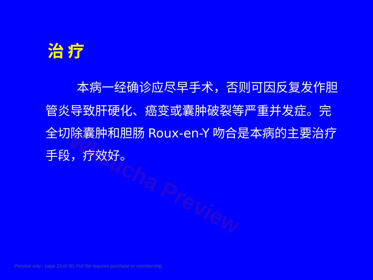 预览第 23 页