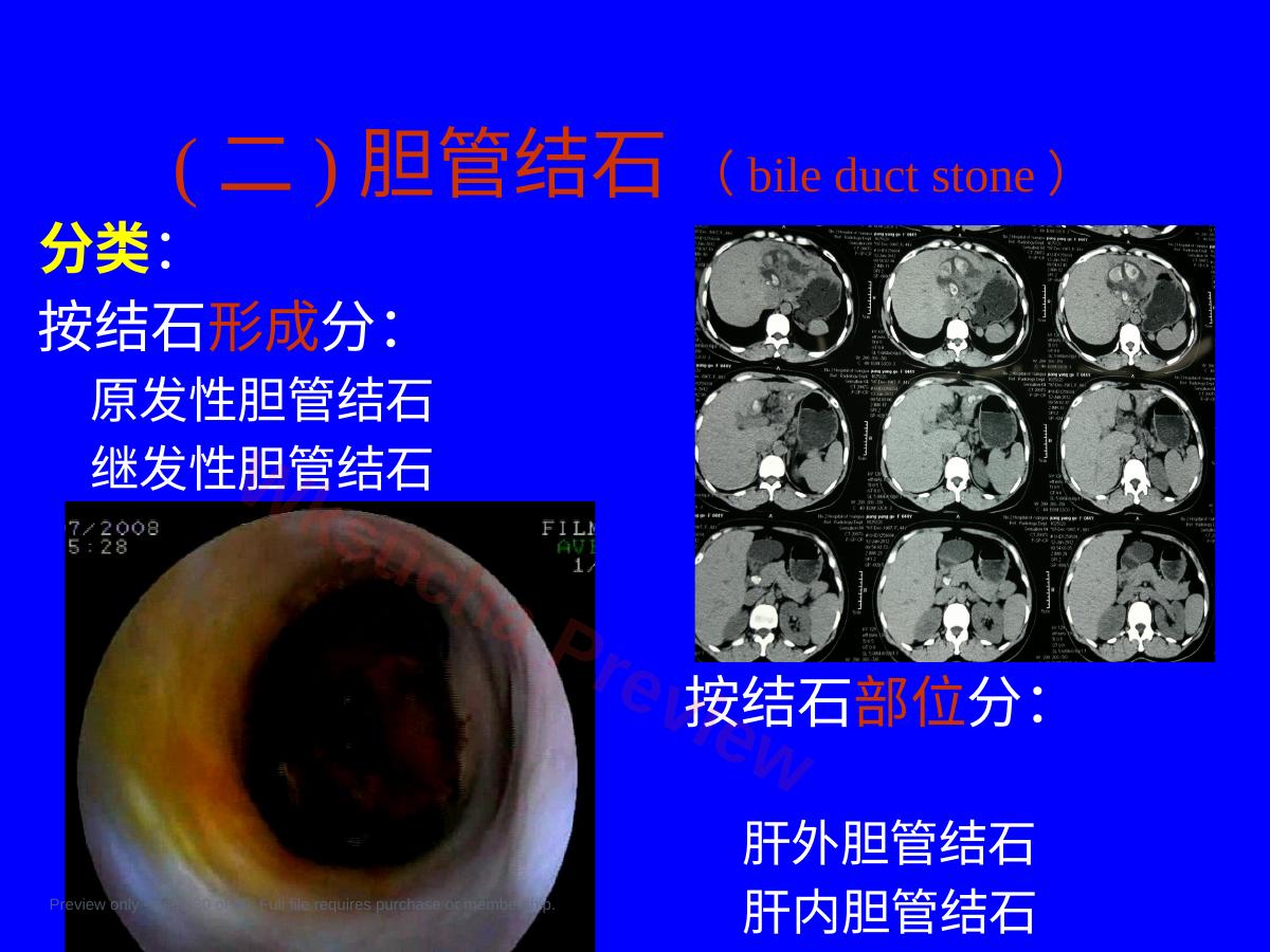 预览第 30 页