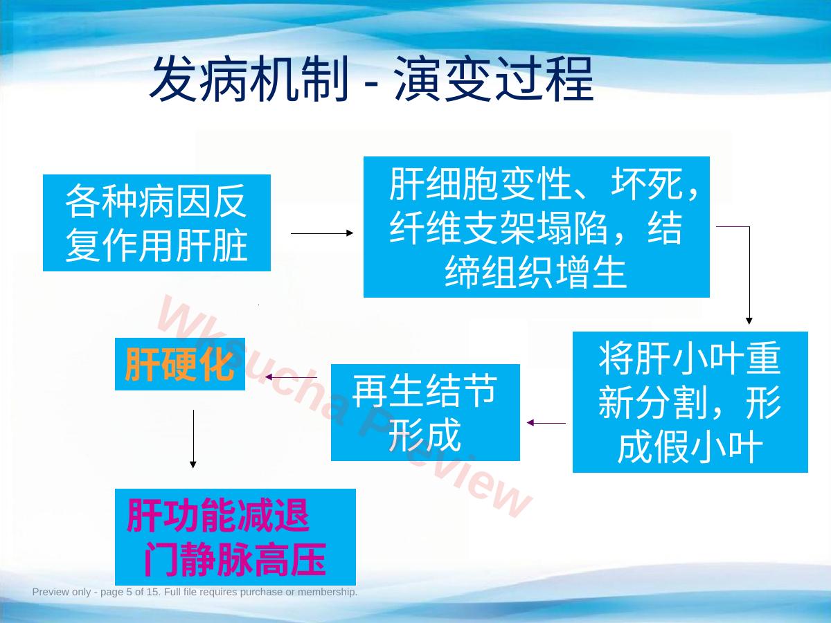 预览第 5 页