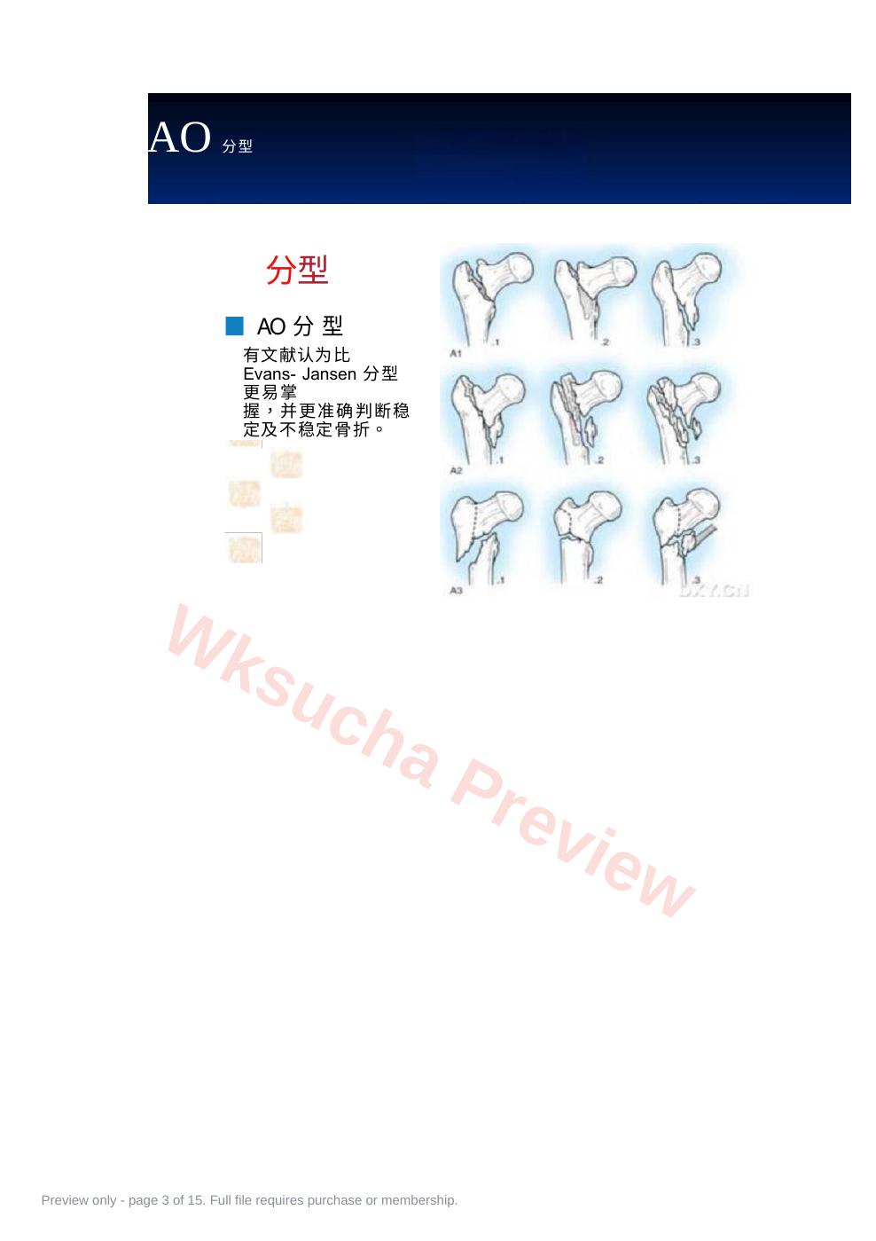 预览第 3 页