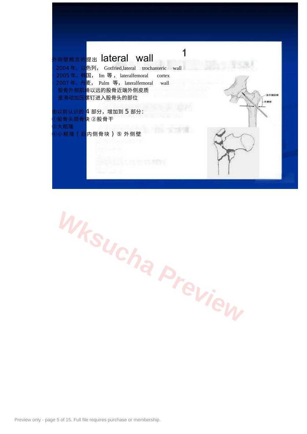 预览第 5 页