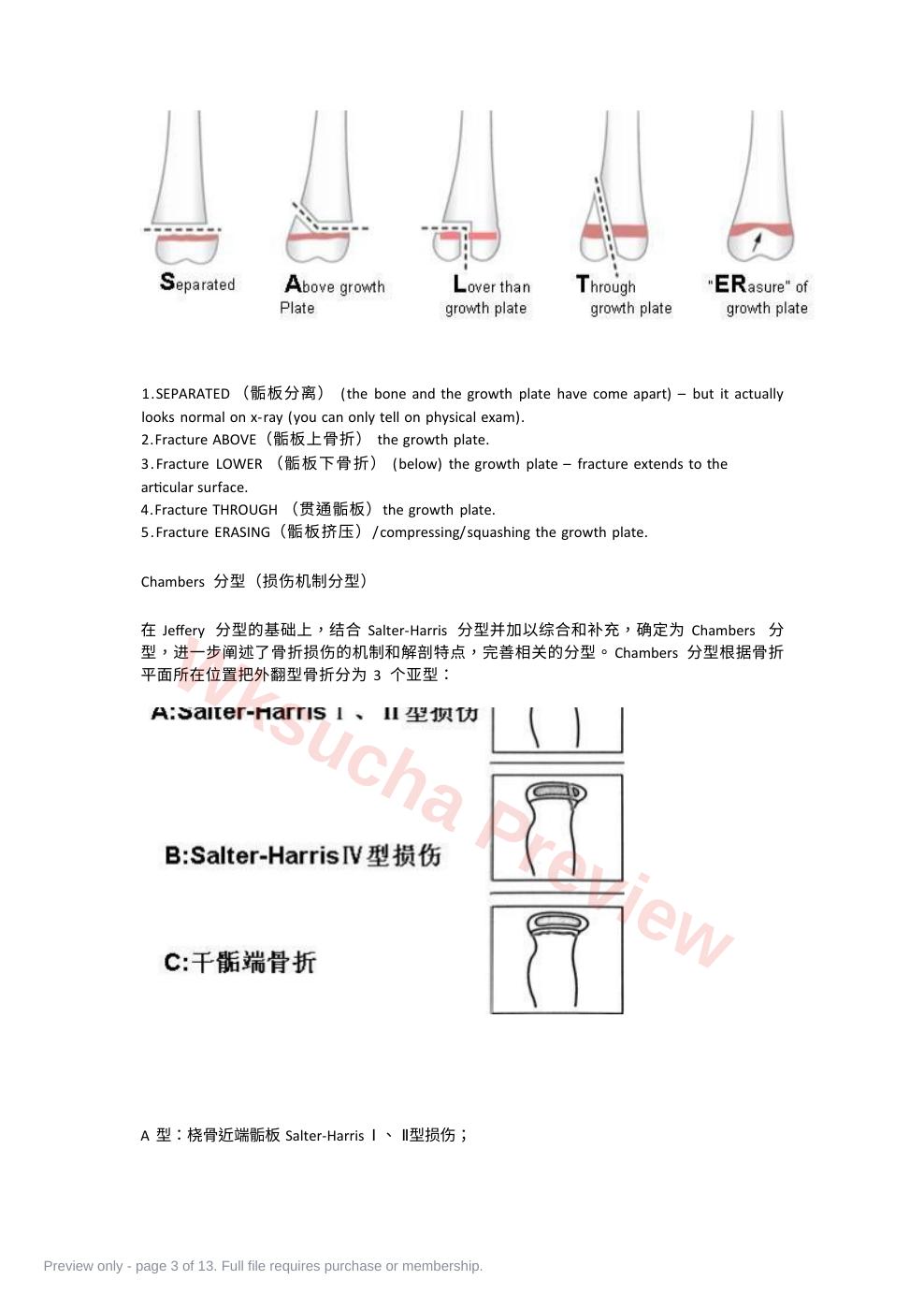 预览第 3 页