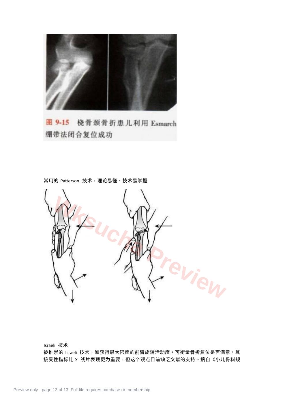 预览第 13 页