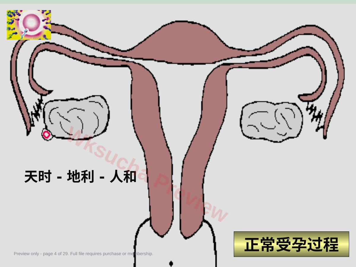 预览第 4 页