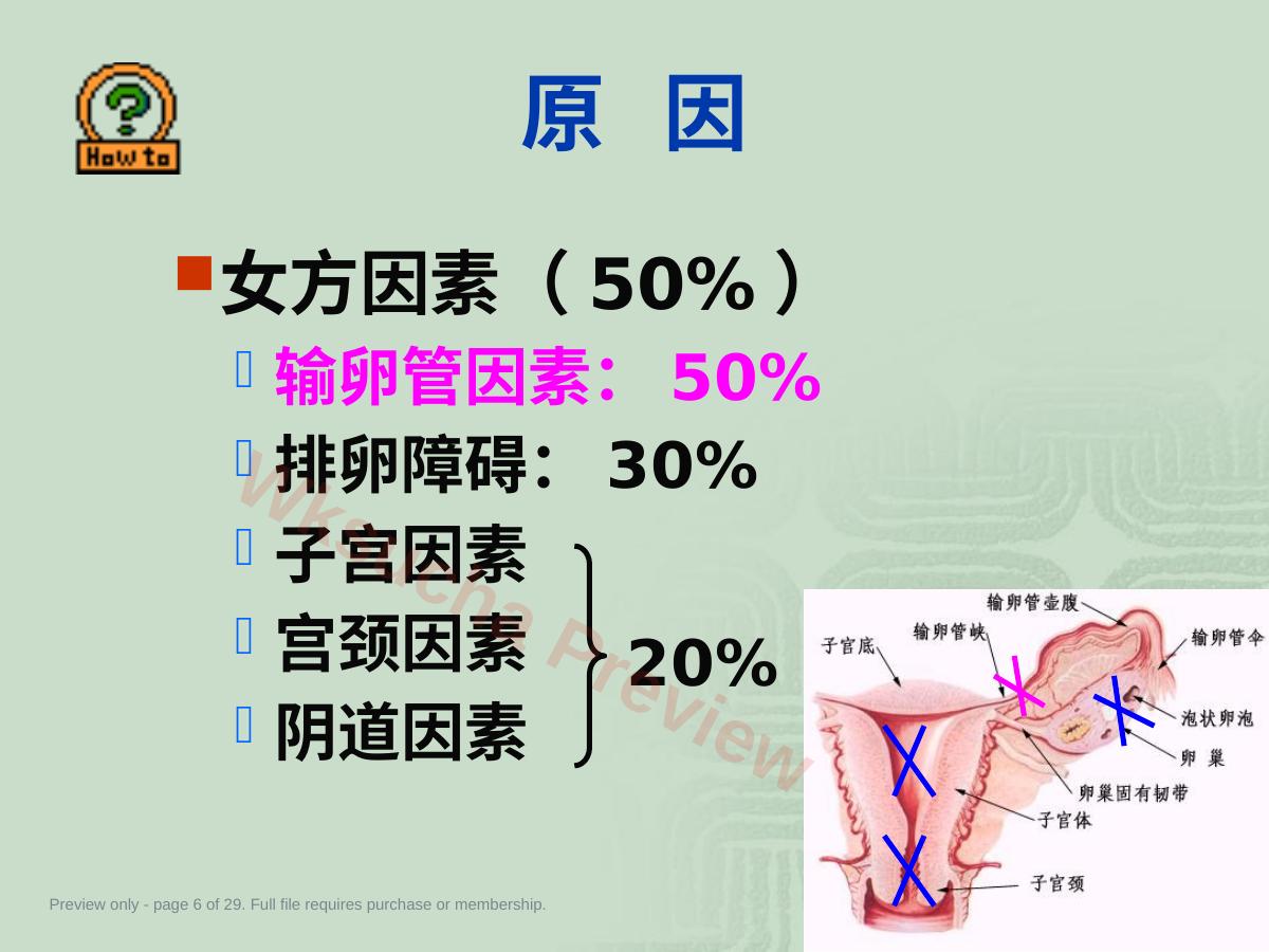 预览第 6 页