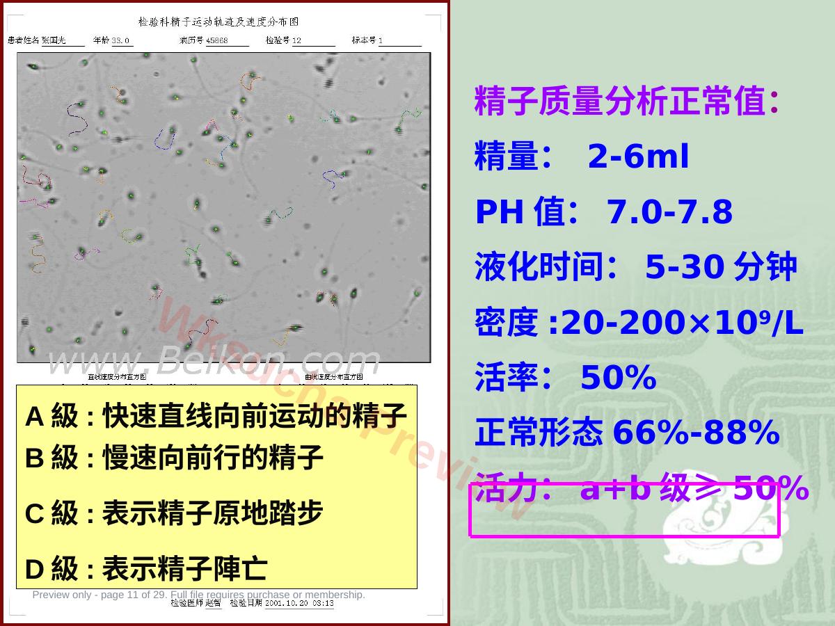 预览第 11 页