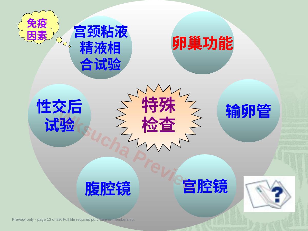 预览第 13 页