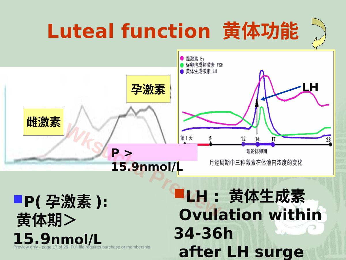 预览第 17 页