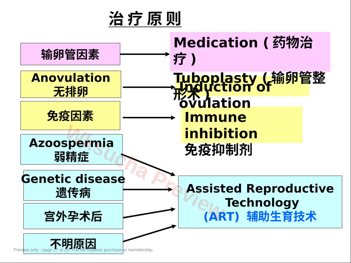预览第 27 页
